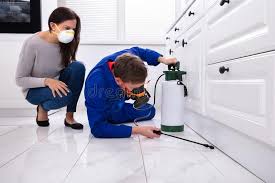 Best Emergency Pest Control  in Fairlawn, OH